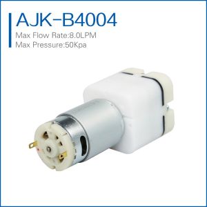 high flow micro automotive air pump