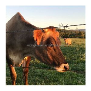 Two Wire Twist Types Hot Dipped Galvanized Barbed Wire Coil for Directly Supply