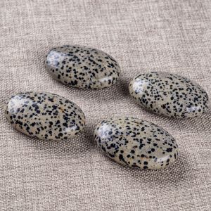 Natural Polished Dalmatian Jasper Palm Stone Oval Shaped Dalmatian Crystal