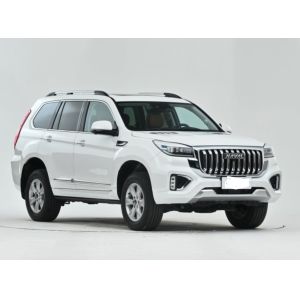 Haval H9 2022 model 2.0T gasoline four-wheel drive exclusive 5-seater version