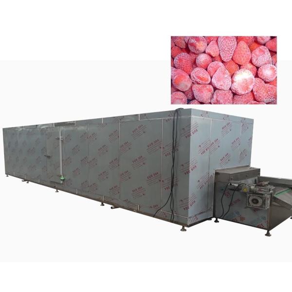 Quality Continuous Air Cooled Fruit Food Freezing Machine 1800KG/H wholesale