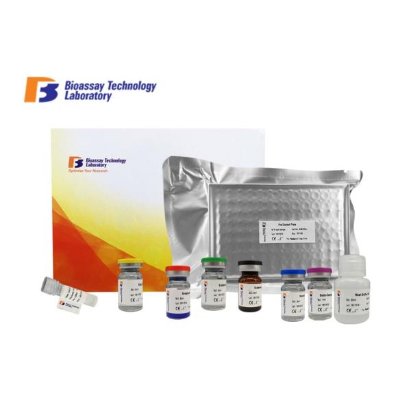 Quality Strong Sensitivity Bovine Prolactin Sandwich Immunoassay Kit With Strong Sensitivity wholesale