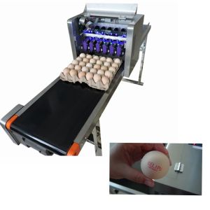 Remote Control Eggs Code Printing Machine With Full Plate Spray Printing Way