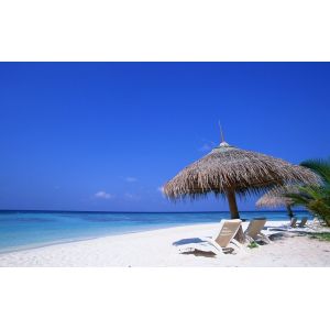 Customized 45*50cm and 100*60cm Artificial Thatch Roofing Tile for Cottage Decoration