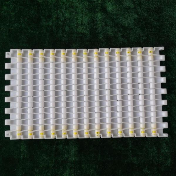 Easy Assemble 15.2mm Pitch Plastic Conveyor Belt for Corrugated Cardboard
