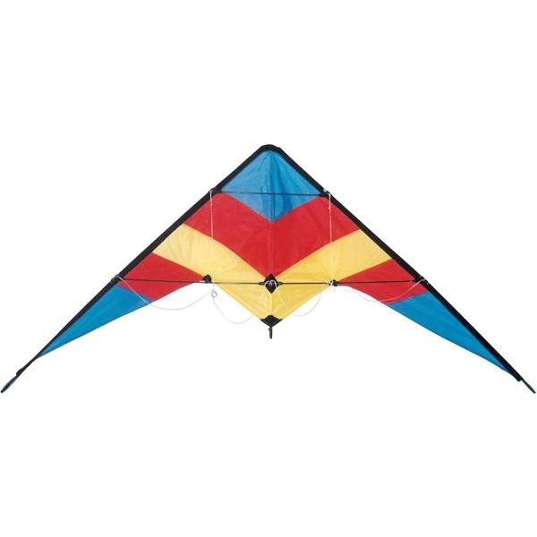 Special picture polyester delta stunt kite , sports kite ,easy assemble for people