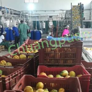 Cheap 380V 410V Mango Pulp Production Line 500-50000KG/H for sale