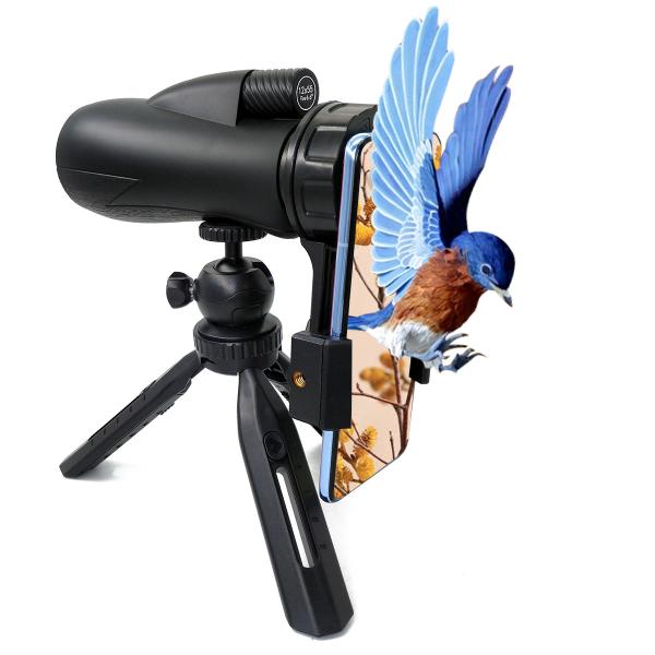 Quality Adults 12X55 HD Monocular Telescope BAK4 Prism With Smartphone Holder & Tripod wholesale