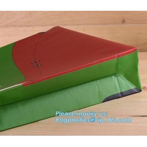 Cheap 100% New Recyclable Whole Bag Heat Sealed Machine Made PP Non Woven Bag