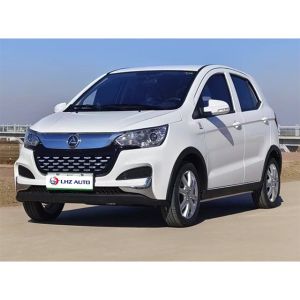 2024 Micro Electric Vehicle Low-Speed Five Doors Five Seats and Max Speed of