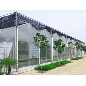 Wind Load 120KM/H PC Sheet Greenhouse With A Type Strawberry Hydroponic Rack