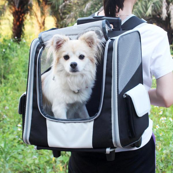 Quality Telescopic Handle Pet Travel Carrier Backpack Trolley For Small Dogs And Cats wholesale