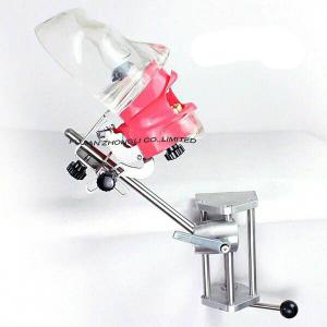 China Cheap Dental Dummy Head for Student or Clinic on sale