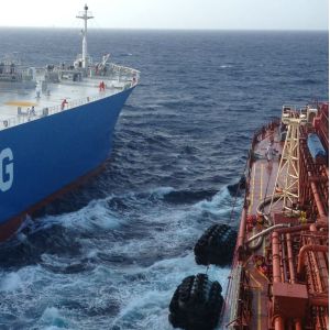 ABS CCS Yokohama Fender For Boat Mooring Great Elasticity Marine Rubber Buffer