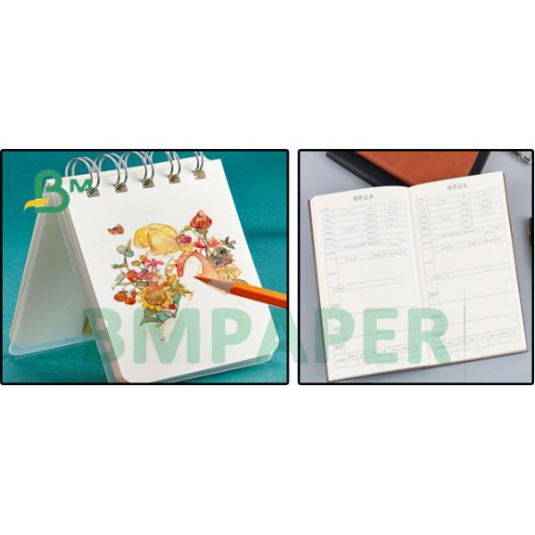 Excellent Printabe Uncoated 100Gr 120Gr Ivory Paper Sheet For School Books 24 x 35inch