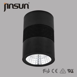 Cheap 20w 89mm diameter 140mm height COB light source LED surface mounted downlight for sale