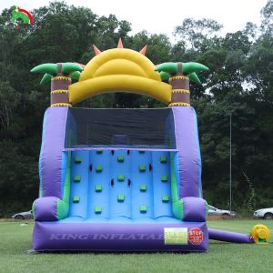 Double Lane Inflatable Water Slide Combo With Pool Obstacle To Climb Inflatable