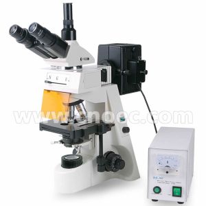 Cheap Fluorescent Microscope Trinocular Head 40 - 1000X with CE A16.1103 for sale
