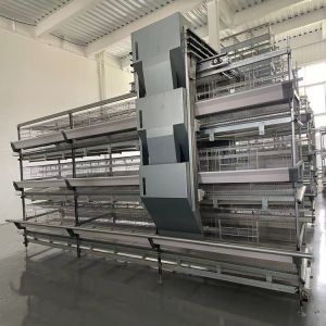 Hot-Dip Galvanized High-Efficiency 4-8 Tier Automatic Layer Cage - Hot