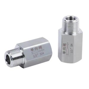 BSPP Thread 1/2 Inch Female and Male Non Return Valve CF8 for Customization