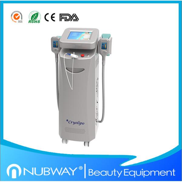 Quality Hot!!! Two handles Cryolipolysis slimming device(can work at the same time)with best price wholesale