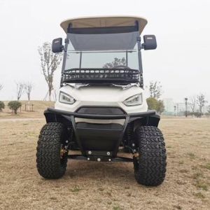 Pointed Two-Seater White Electric Golf Dump Truck Can Be Customized With Color