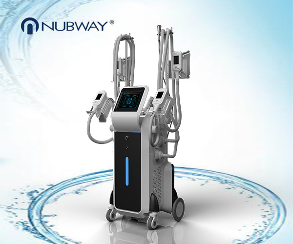 Quality 2019 most time-saving body slimming 4 simultaneous handles cool sculpting machine wholesale