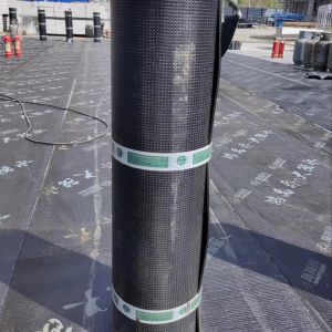 Cheap Plastic APP Modified Bitumen Waterproof Membrane For Basements Foundations Tunnels for sale