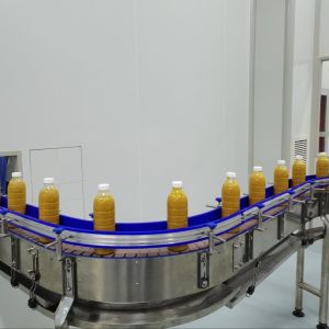 Citrus Processing Line Juice Extraction And Sterilization System Tropical Fruit