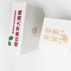 Abrasive Resistance Reusable Corrugated Plastic Boxes 2.5mm Agricultural