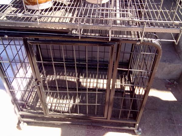 Quality galvanized dog Temporary Dog Fence For Sale Galvanized Chain Link Dog Kenne wholesale