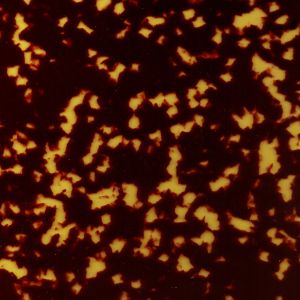 China Tortoise Shell Veneer Patterned Celluloid Sheet Decor For Guitar Picks Parts on sale