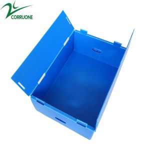 Wholesale Reusable Stackable Pp Corrugated Plastic Packaging Fruit And Vegetable
