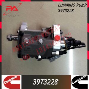 Diesel QSC8.3 Engine Parts Fuel Injection Pump 3973228 4921431 For Cummins 4BT3