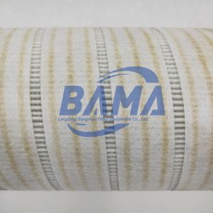 HC8304FKT16TH BANGMAO Hydraulic Filter Element for Oil Removal Function Oil