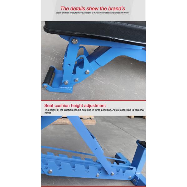 Gym Adjustable Dumbbell Workout Weight Bench For Traning Exercise