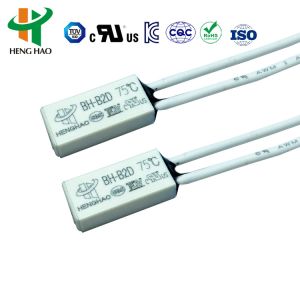 BH-TB02B-B8D Mini Thermal Protector Thermostat Switch 250V 2A