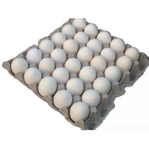 700-900 pcs/h Paper Egg Tray Making Machienry (FC-ZMW-3)