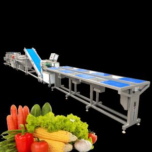 Fully Automatic Fruit And Vegetable Processing Machinery 300-1000kg/h