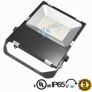 Outdoor Security 80 Wattage 120LM/W PROLINE Version SMD LED Flood Light With G