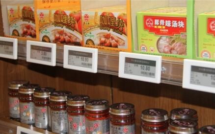 esl /electronic shelf label with preventing stealing design for supermarket and