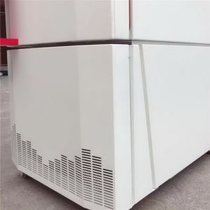 Cold Balanced Control Temperature Humidity Test Chamber / Environmental Test