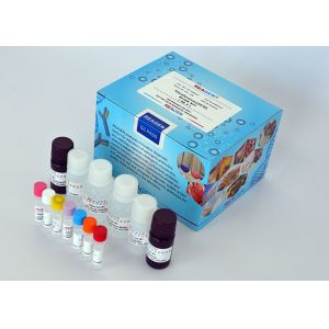 Cheap Spectinomycin ELISA Test Kit Quantitative Analysis For Meat / Liver / Kidney And Milk for sale