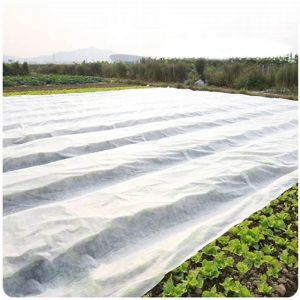 100 Polypropylene Fabric , Spunbond Non Woven Fabric Used In Agriculture