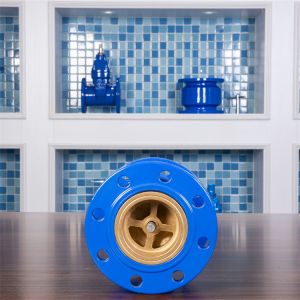 Pn10 Pn16 Muffler Check Valve Silence H41x Ductile Iron Check Valve