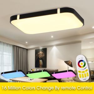 China Modern Ceiling Lights RGB ceiling Lamp kitchen overhead light fixtures (WH-MA-33) on sale