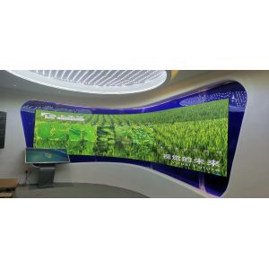 High Quality Curved LED Display Screen with High Resolution and Stable