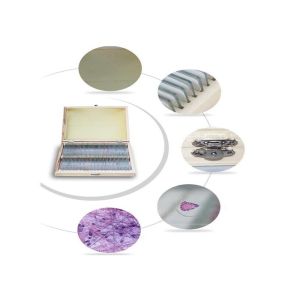 Prepared glass biology teaching histology slides for student learning on