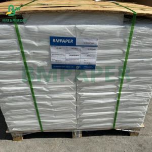 China Heat Resistant 150um PET Synthetic Paper For Back - Lit Menus High Density on sale