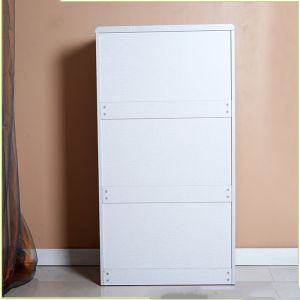 Solid Wood 27 pairs 1.2M MDF Veneer Mirrored Shoe Cabinet